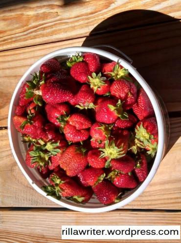 strawberry bucket