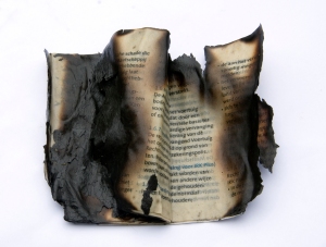 burnt paper sxc (gerbra...)